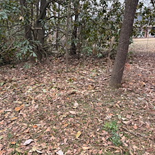 Essential-Spring-Cleanup-in-Oxford-MS 11